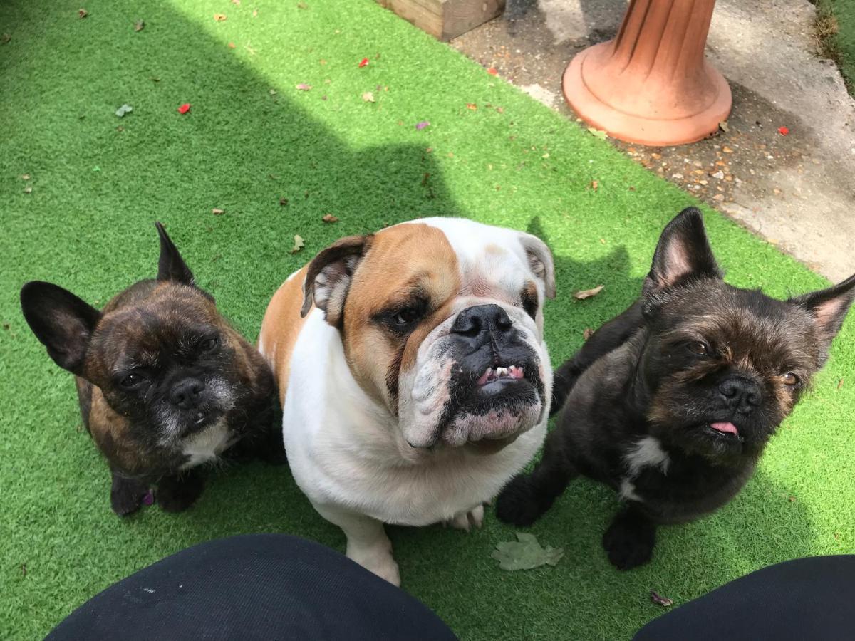 J8 M27 Homestay Southampton